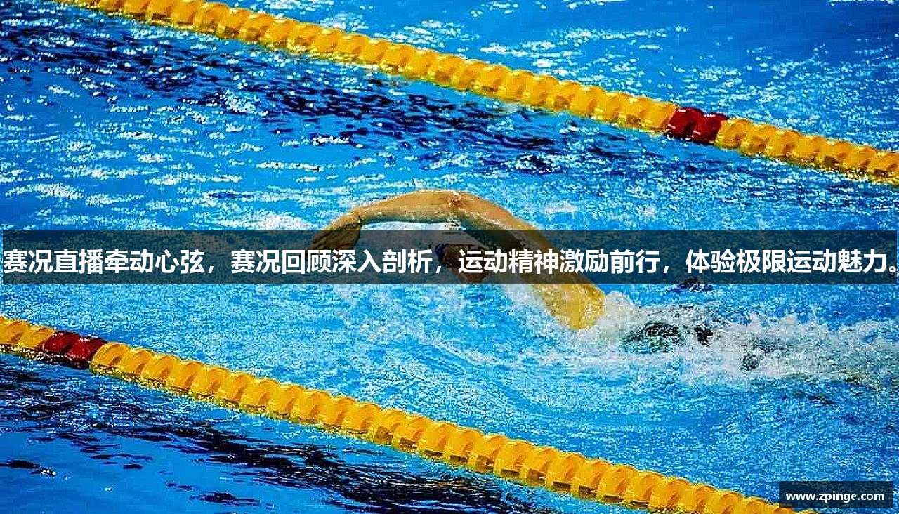 星空软件安卓版免费下载